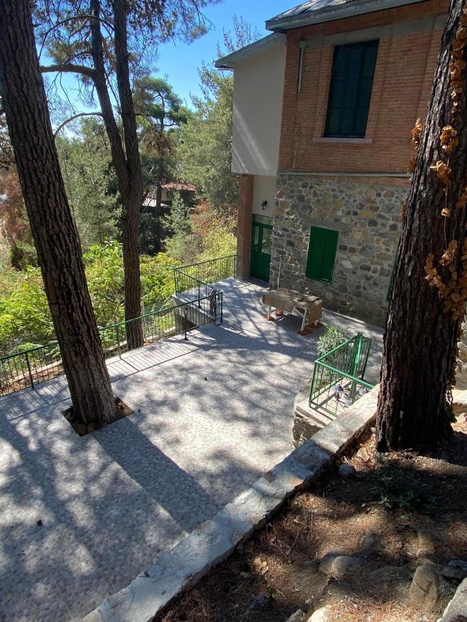 Theplatres.Nest Villa Dış mekan fotoğraf