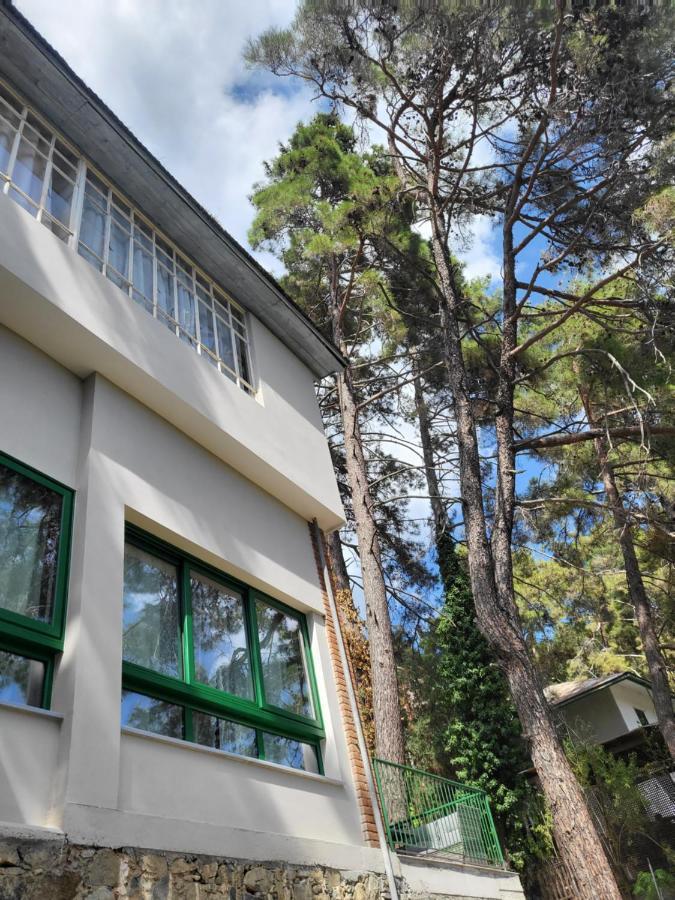 Theplatres.Nest Villa Dış mekan fotoğraf