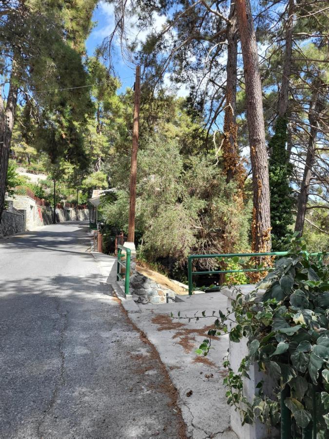 Theplatres.Nest Villa Dış mekan fotoğraf