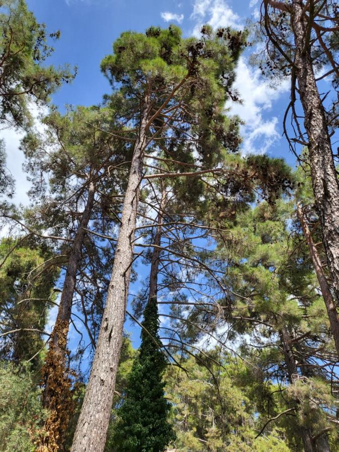 Theplatres.Nest Villa Dış mekan fotoğraf