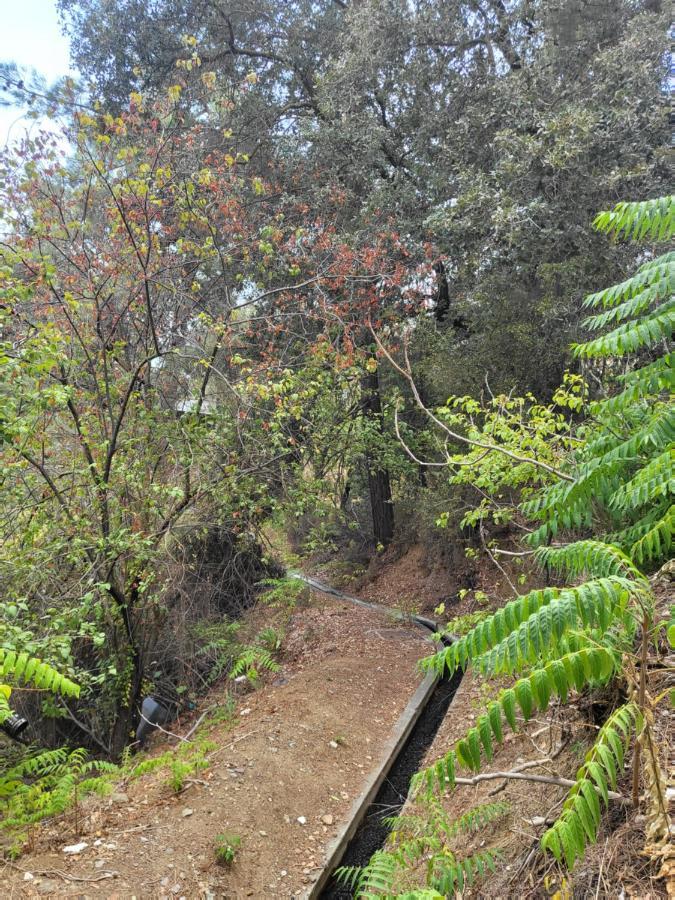 Theplatres.Nest Villa Dış mekan fotoğraf
